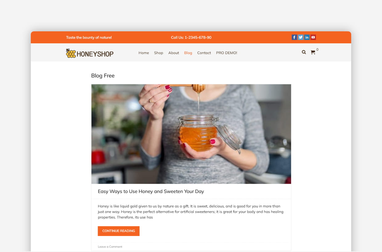 Free Healthy Food WordPress Theme