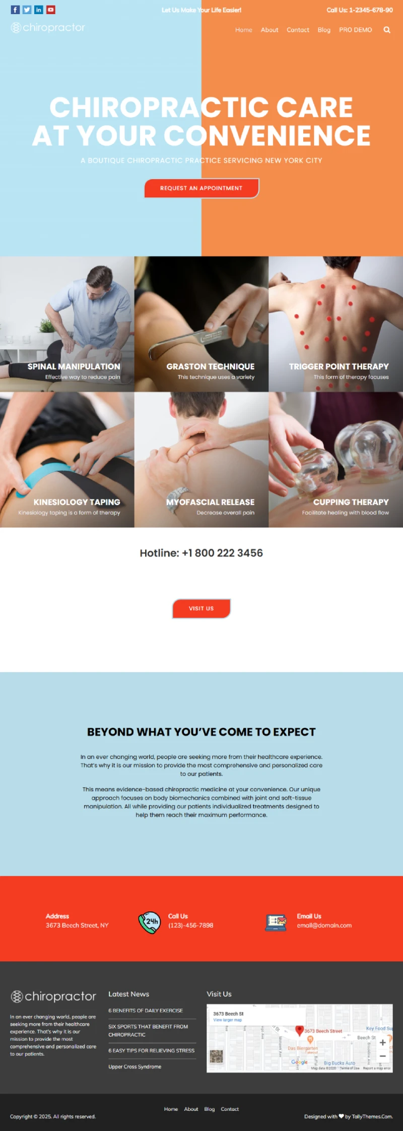 Chiropractor Free WordPress Template Home Page