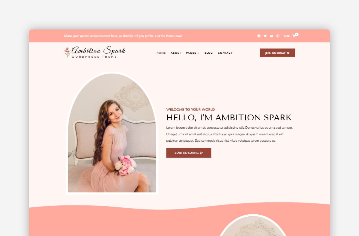 Multipurpose WordPress theme – Ambition Spark