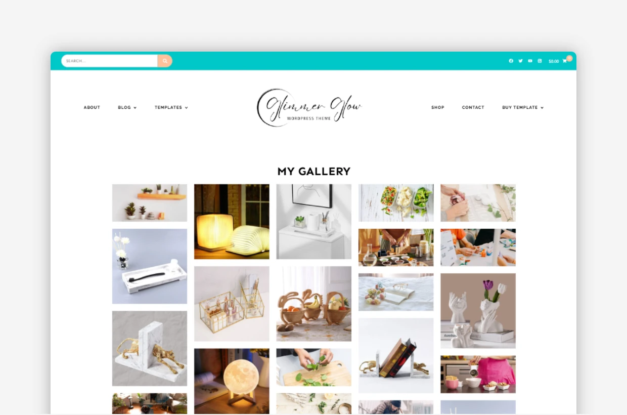 premium responsive wp theme