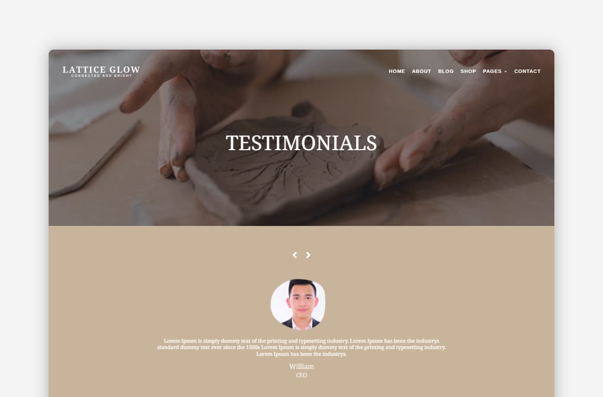 Portfolio blog WP Theme