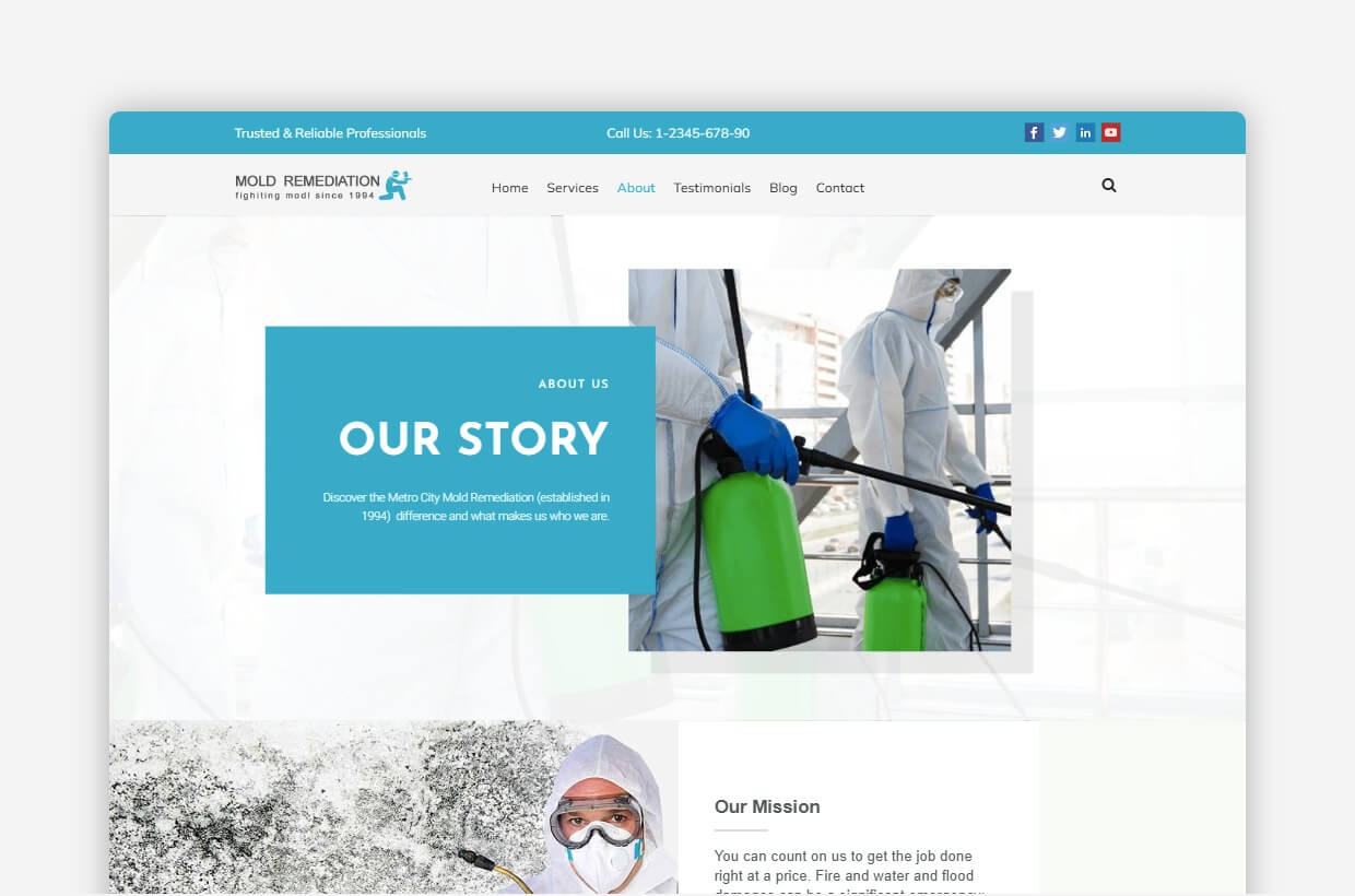 Mold Remediation WordPress Template