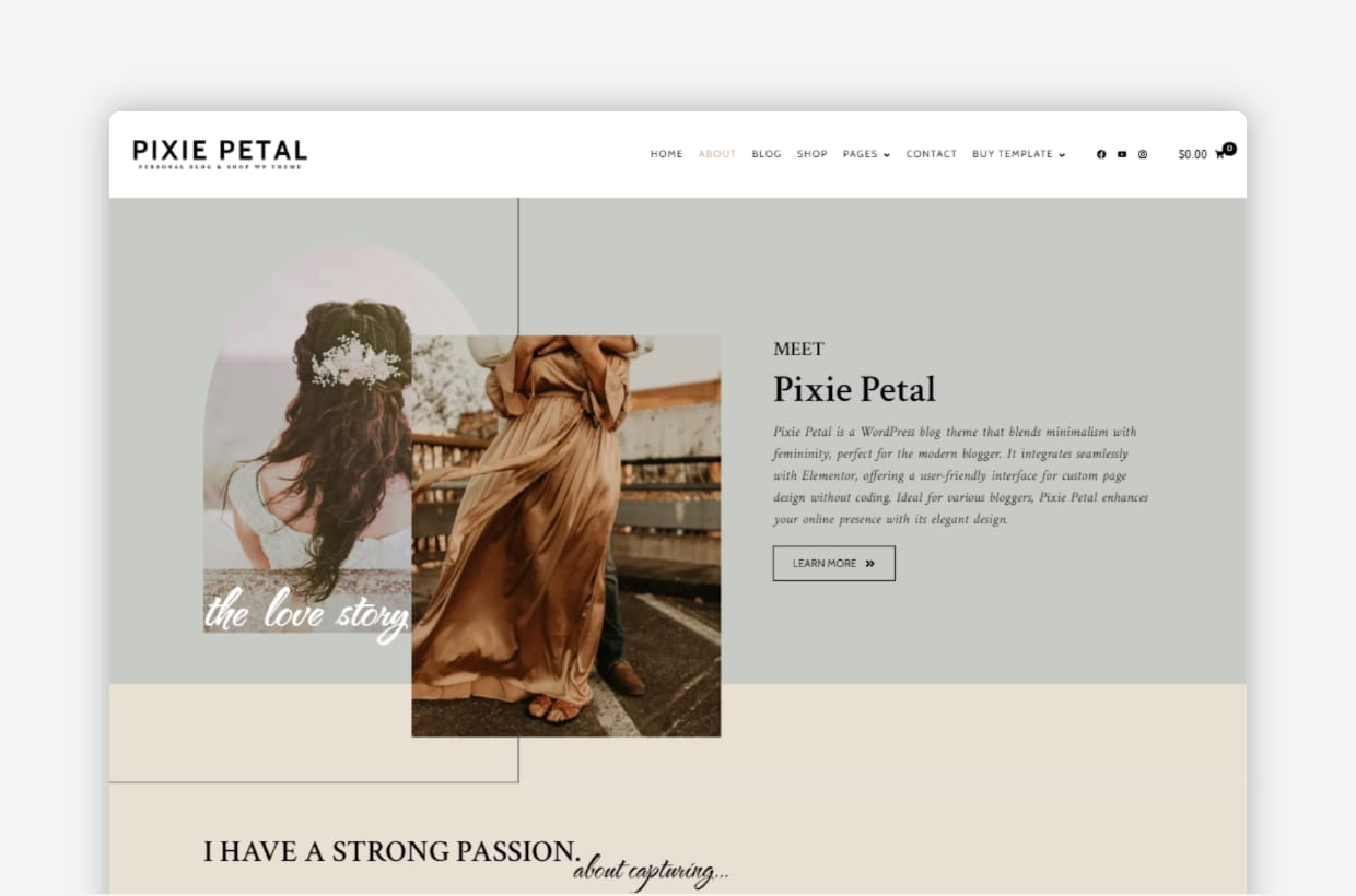 premium blog & shop wp theme