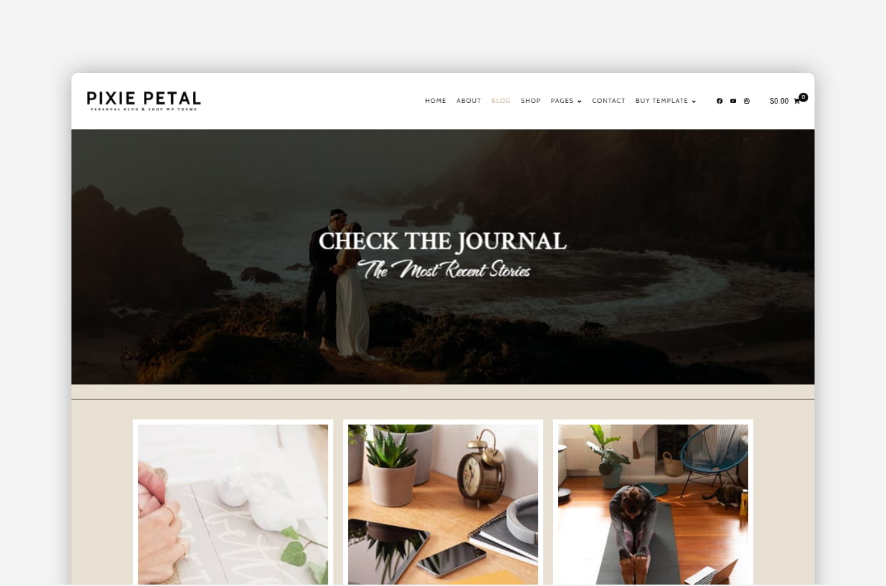 premium blog & shop wordpress template