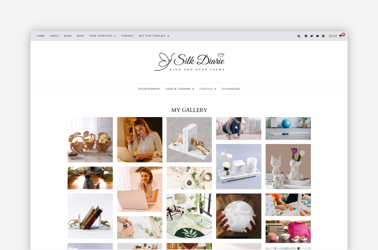 responsive blog & shop wp theme