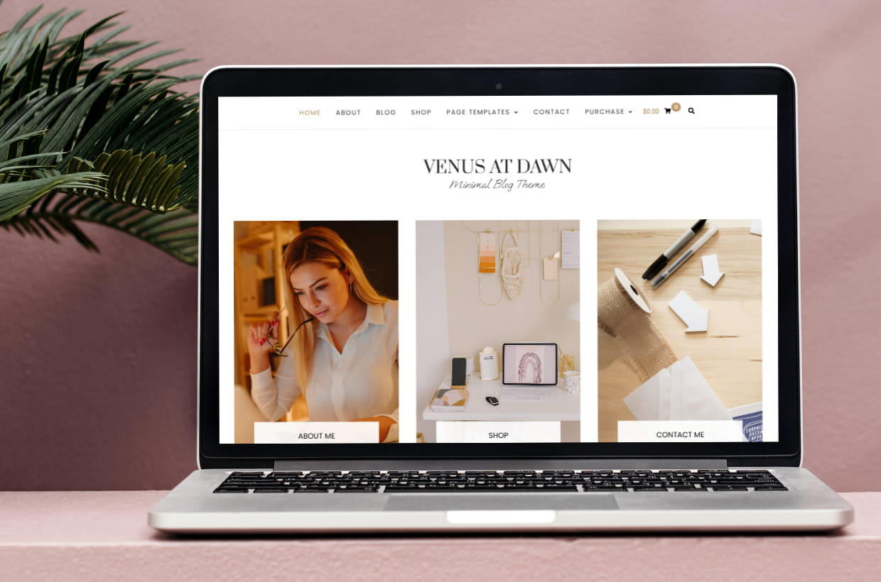 premium lifestyle bloggers wordpress template